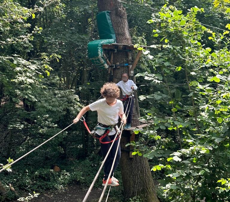 Aventure dans les Arbres🌳🌳