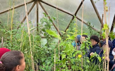 Au plus près du cycle de la nature🌱👩‍🌾👨‍🌾